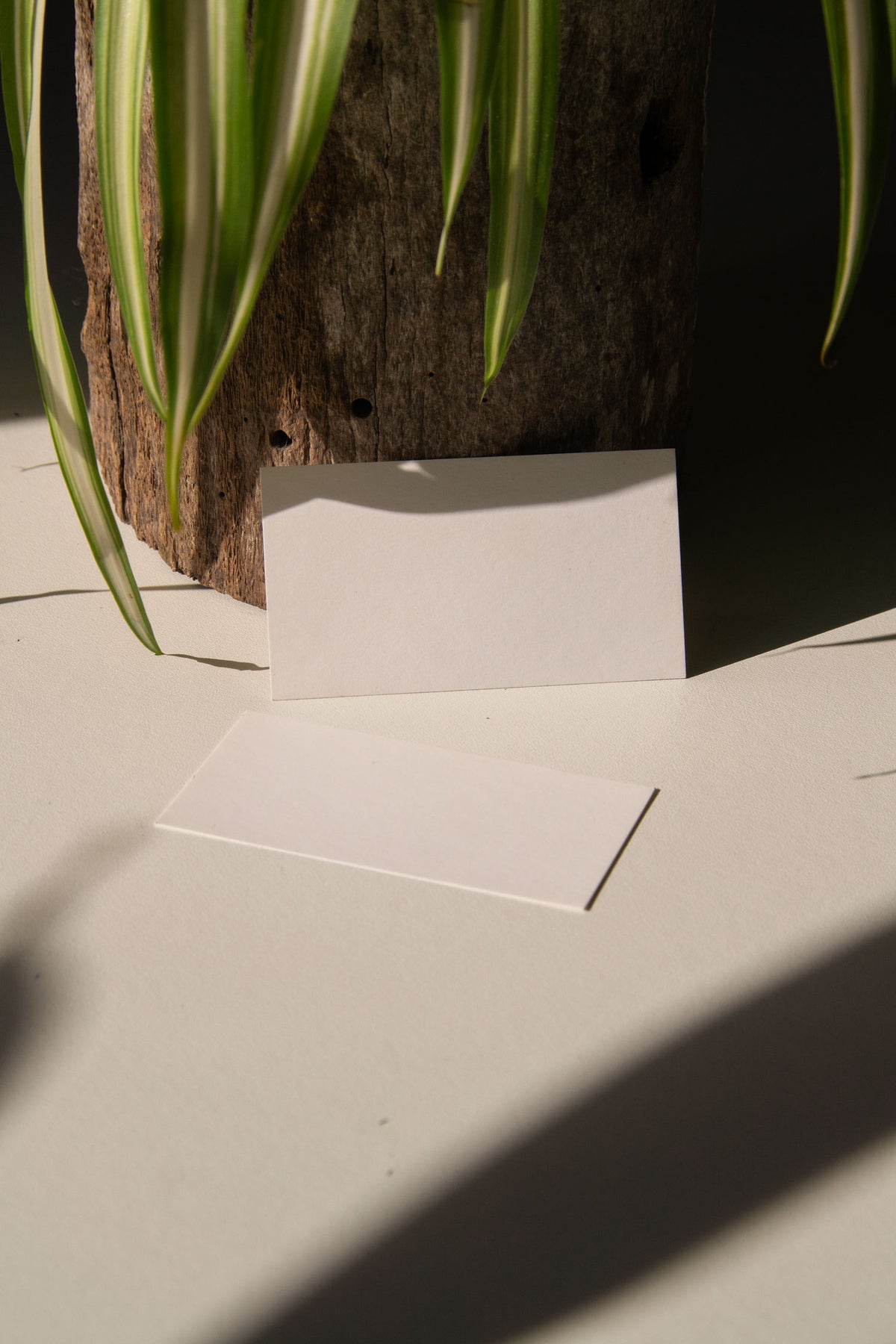 Business Card Mockup PSD DD-02