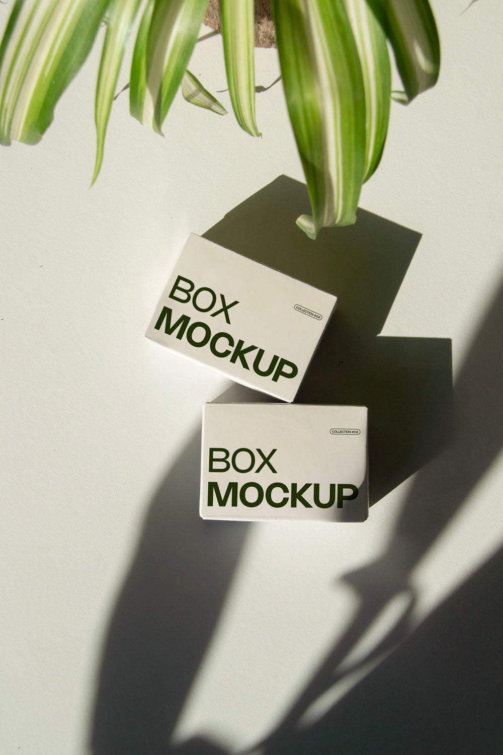 box packaging mockup PSD with three stacked paper boxes on sunlit desk and plant shadows
