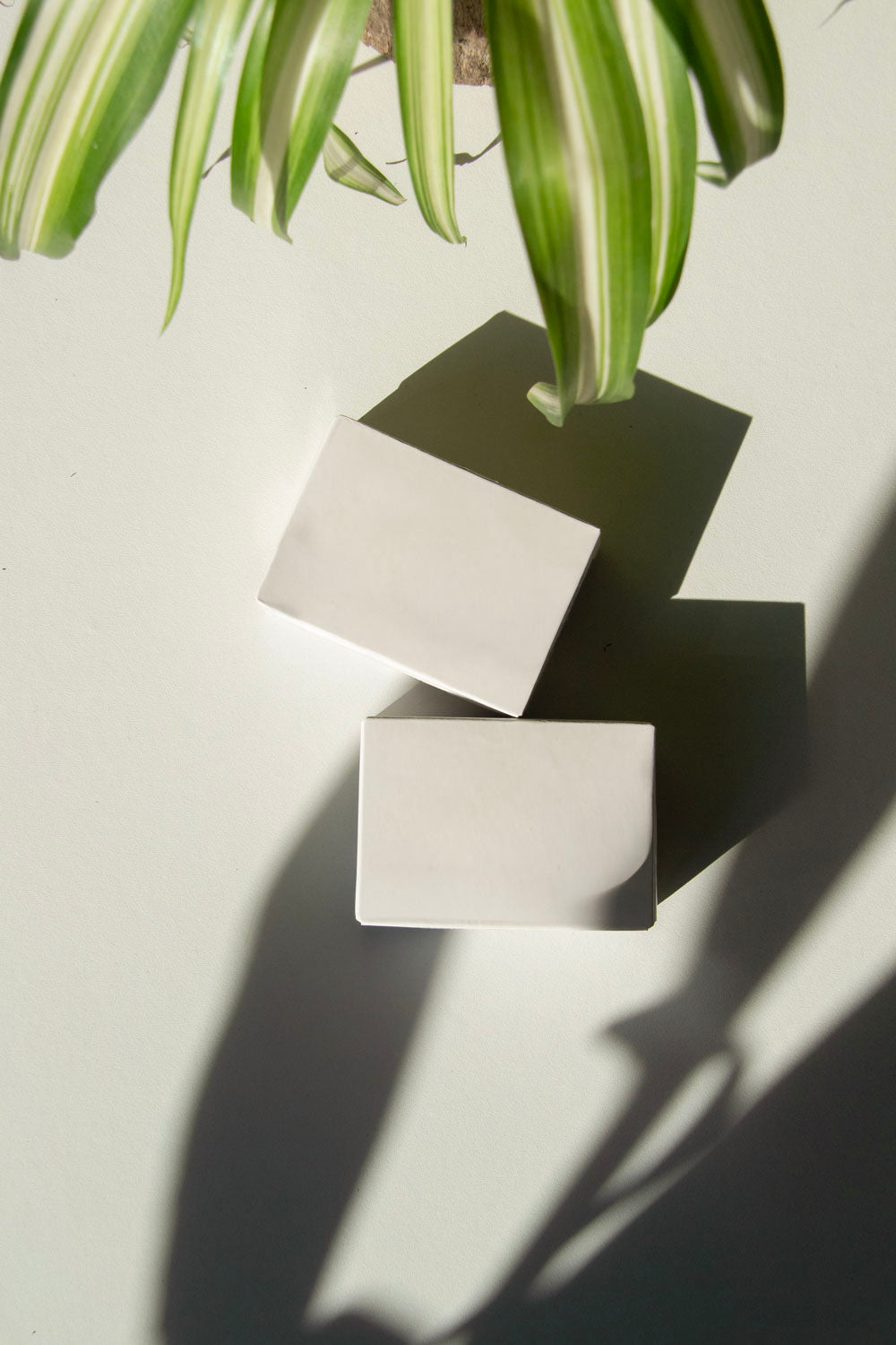 box packaging mockup PSD with three stacked paper boxes on sunlit desk and plant shadows