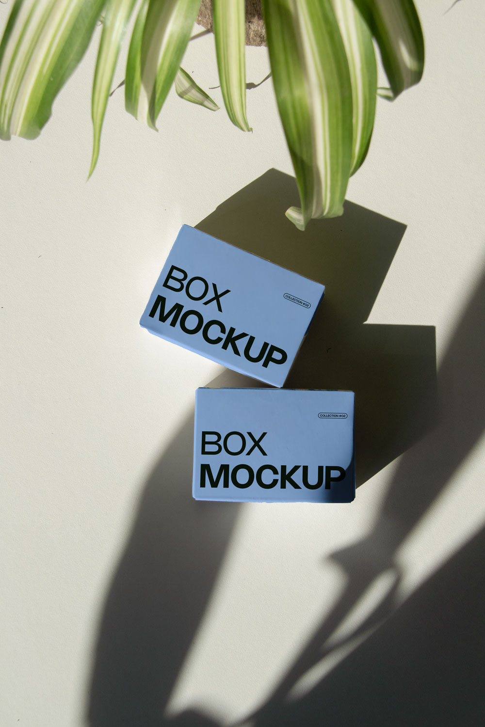 box packaging mockup PSD with three stacked paper boxes on sunlit desk and plant shadows