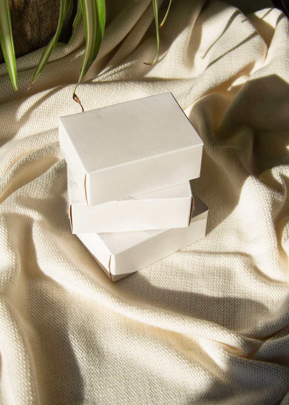 box packaging mockup PSD with three stacked paper boxes on sunlit desk and plant shadows