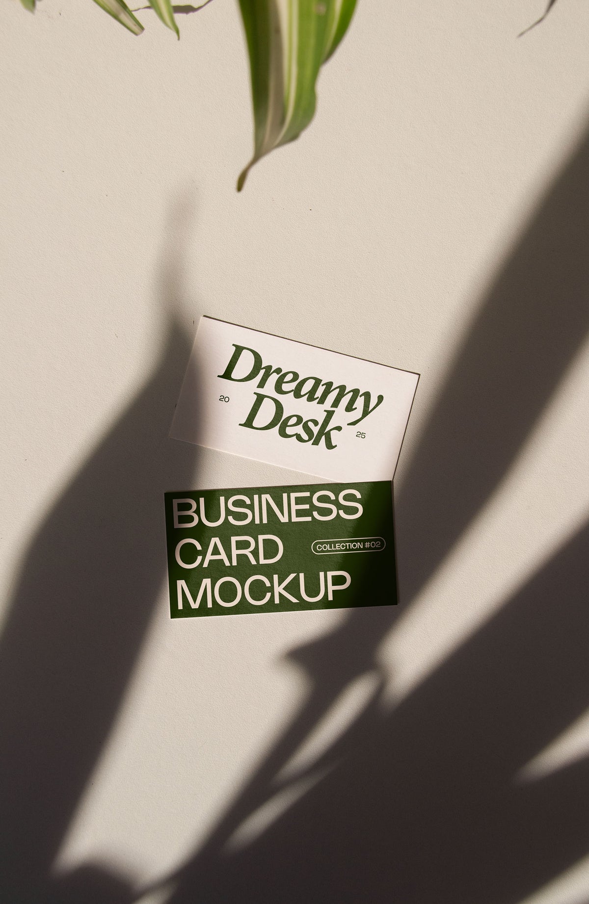 business card mockup PSD with two cards (portrait and landscape) on sunlit desk with plant shadows