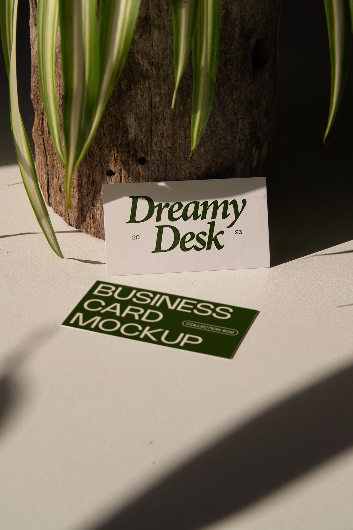 business card mockup PSD with two cards (portrait and landscape) on sunlit desk with plant shadows