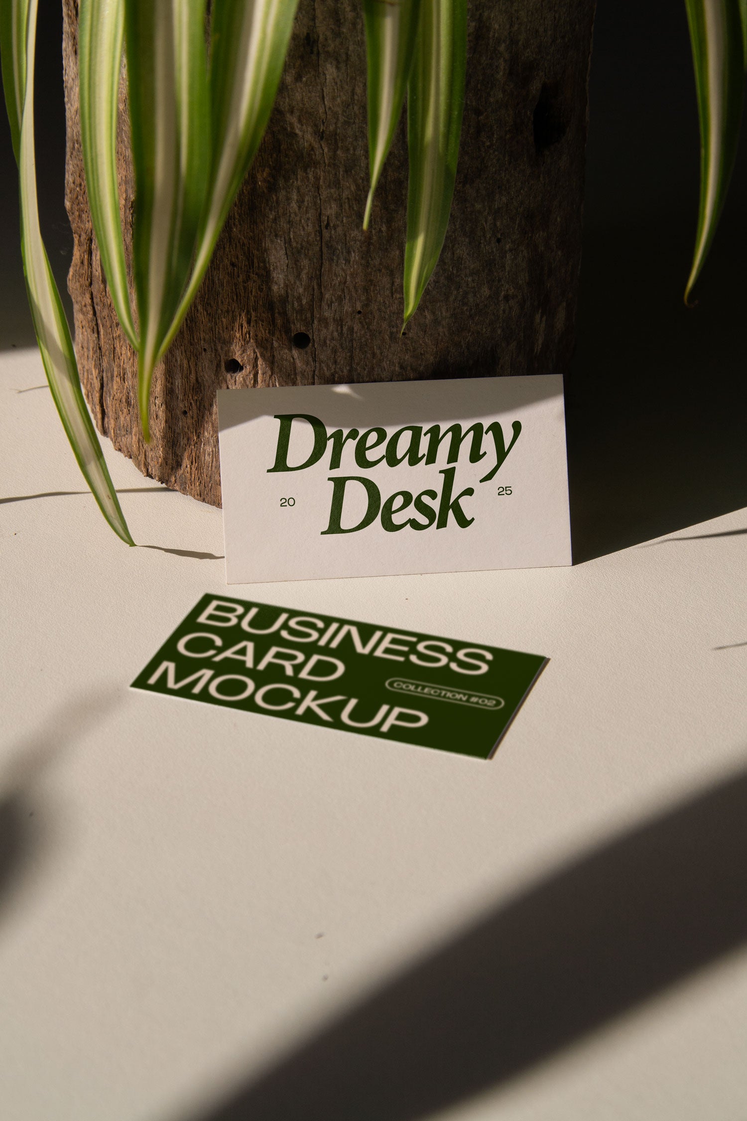 business card mockup PSD with two cards (portrait and landscape) on sunlit desk with plant shadows
