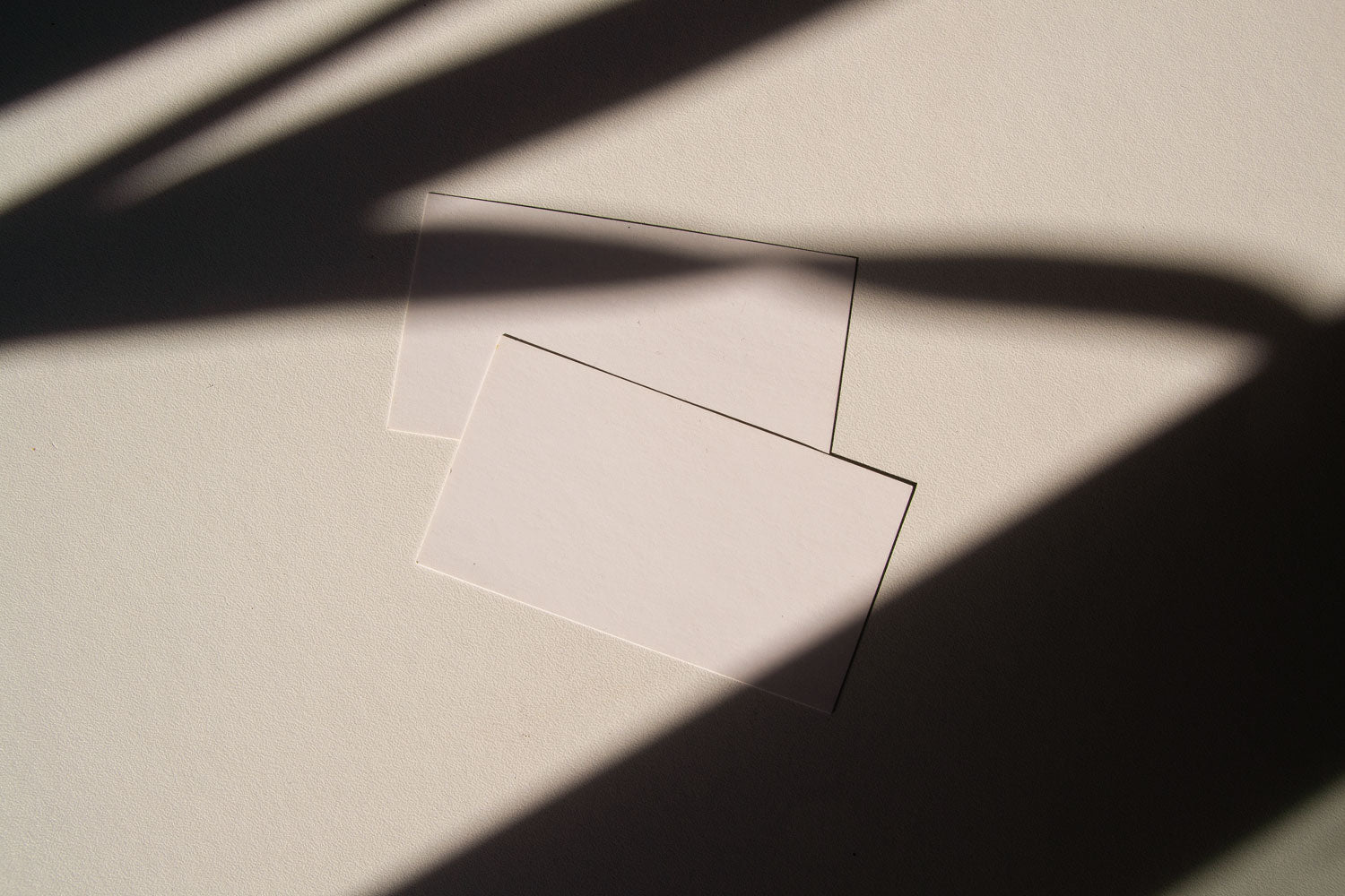 business card mockup PSD with two cards (portrait and landscape) on sunlit desk with plant shadows