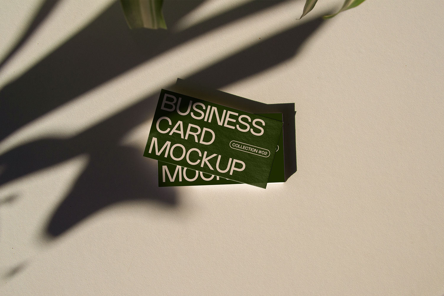 business card mockup PSD with two cards (portrait and landscape) on sunlit desk with plant shadows