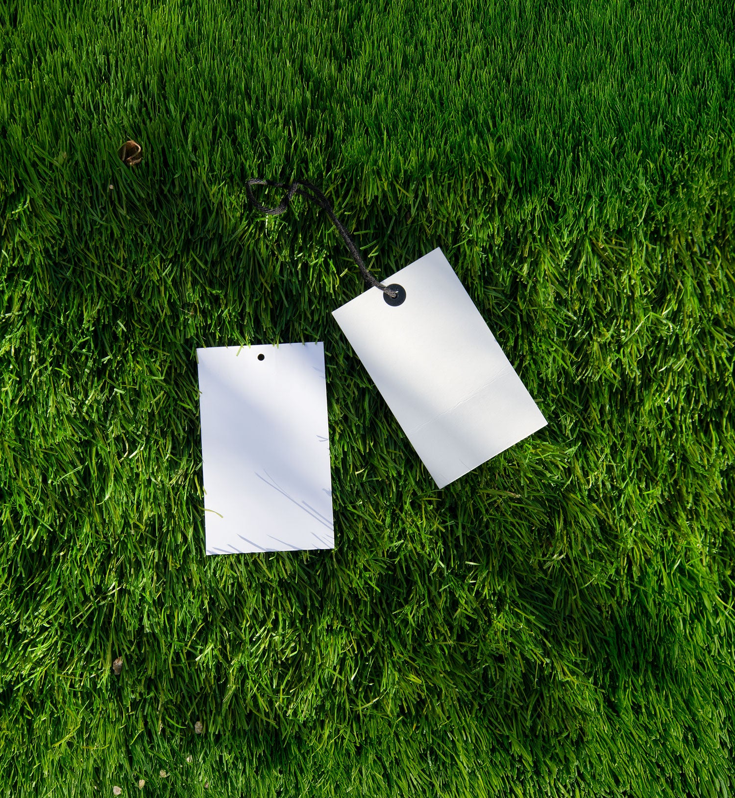 hang tag mockup PSD on grass with two clothing tags and black cord under natural light