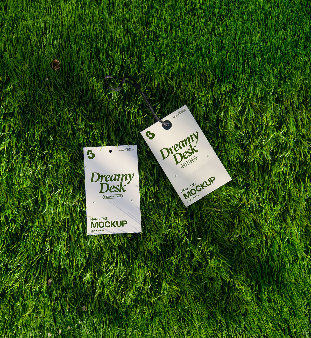 hang tag mockup PSD on grass with two clothing tags and black cord under natural light