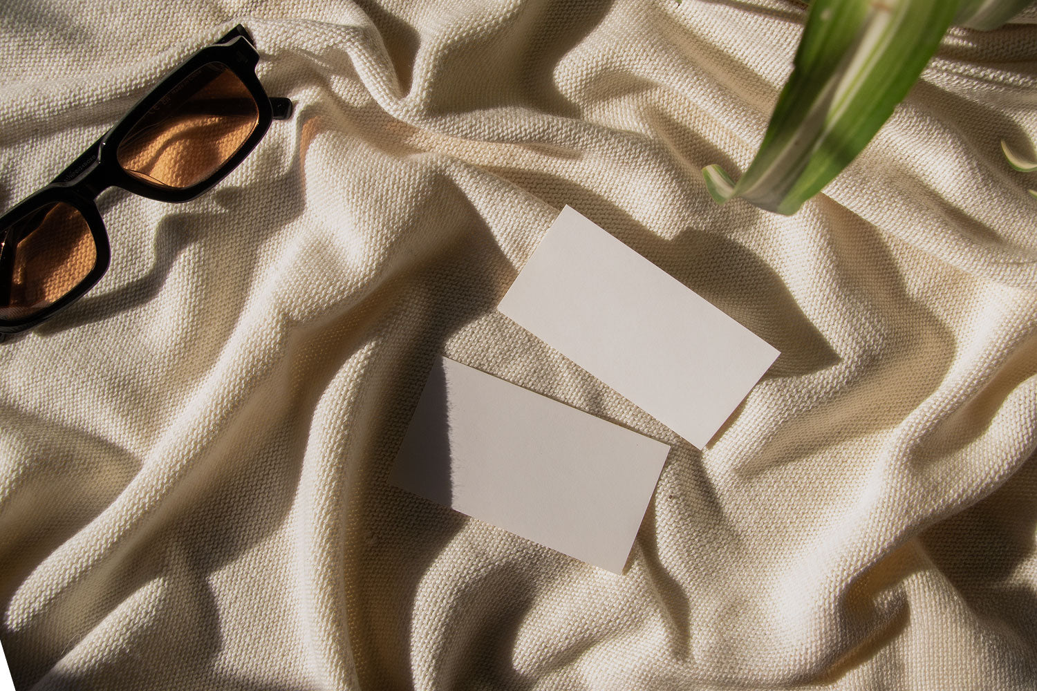 business card mockup PSD with two cards (portrait and landscape) on sunlit desk with plant shadows